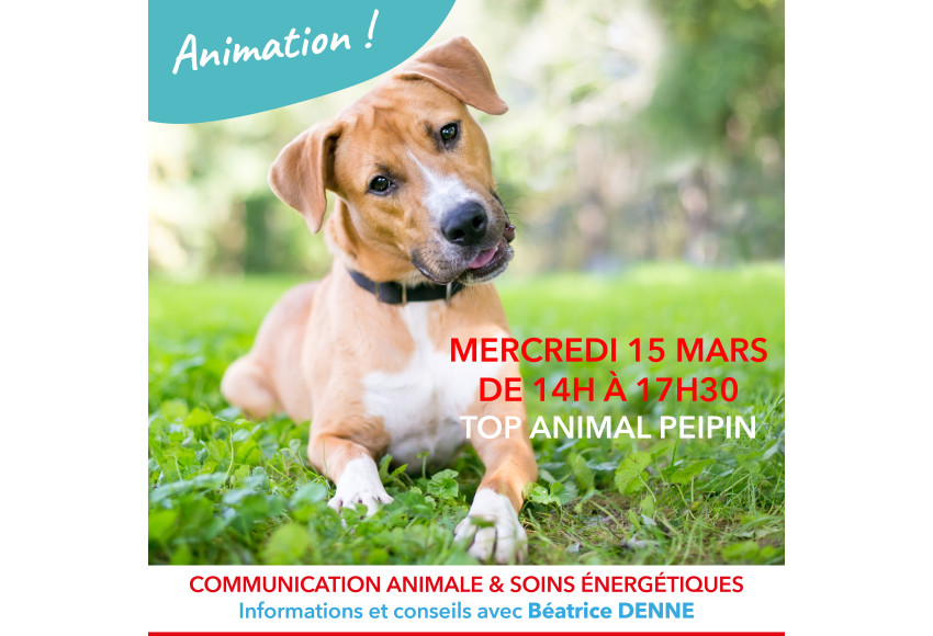 ANIMATION : COMMUNICATION ANIMALE ET SOINS ENERGETIQUES
